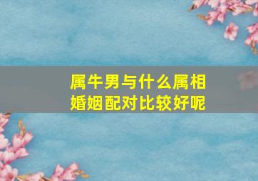 属牛男与什么属相婚姻配对比较好呢