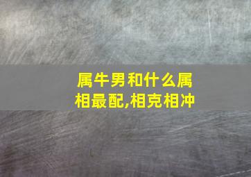 属牛男和什么属相最配,相克相冲