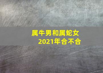 属牛男和属蛇女2021年合不合