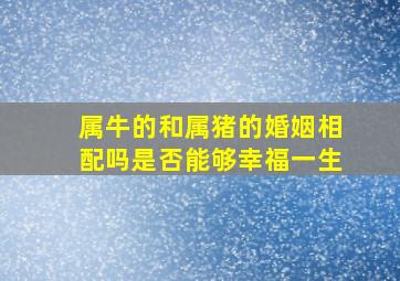 属牛的和属猪的婚姻相配吗是否能够幸福一生