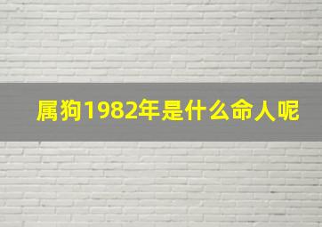 属狗1982年是什么命人呢