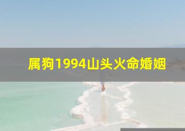 属狗1994山头火命婚姻