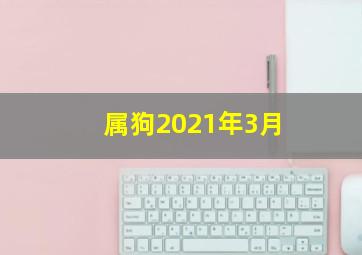 属狗2021年3月