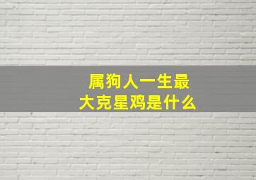 属狗人一生最大克星鸡是什么