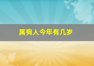 属狗人今年有几岁