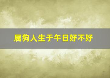 属狗人生于午日好不好