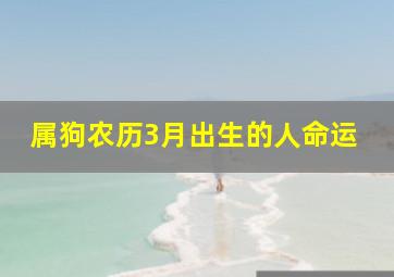 属狗农历3月出生的人命运