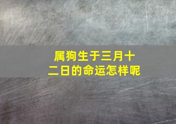 属狗生于三月十二日的命运怎样呢