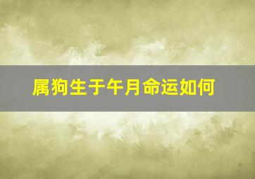 属狗生于午月命运如何