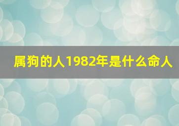 属狗的人1982年是什么命人