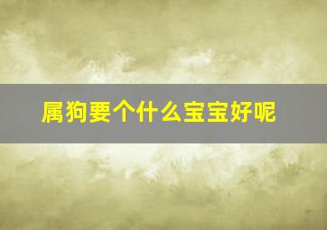 属狗要个什么宝宝好呢