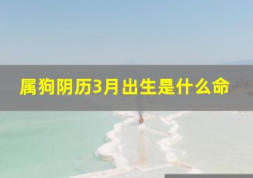 属狗阴历3月出生是什么命