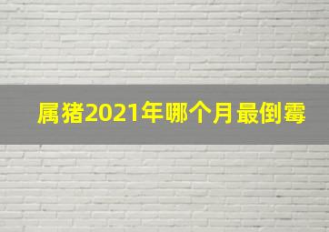 属猪2021年哪个月最倒霉