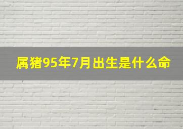 属猪95年7月出生是什么命