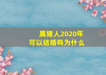 属猪人2020年可以结婚吗为什么