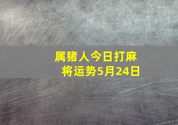 属猪人今日打麻将运势5月24日