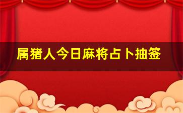 属猪人今日麻将占卜抽签