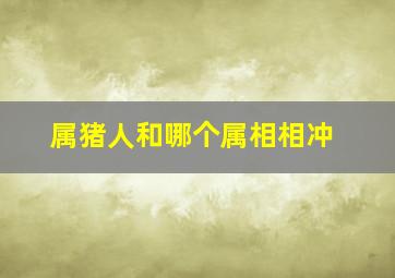 属猪人和哪个属相相冲