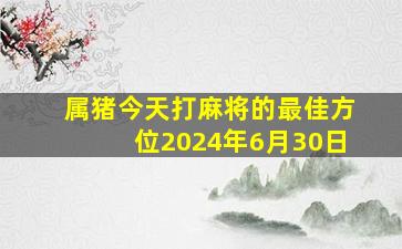 属猪今天打麻将的最佳方位2024年6月30日