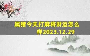 属猪今天打麻将财运怎么样2023.12.29