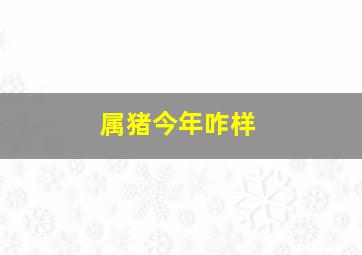 属猪今年咋样