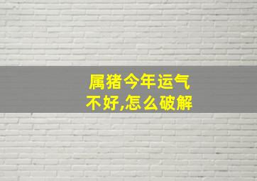 属猪今年运气不好,怎么破解