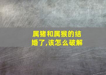 属猪和属猴的结婚了,该怎么破解