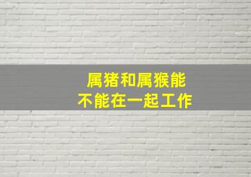 属猪和属猴能不能在一起工作