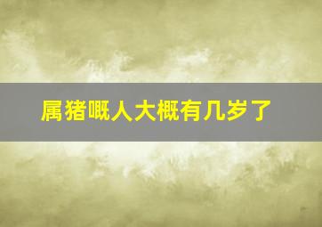 属猪嘅人大概有几岁了