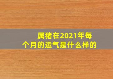 属猪在2021年每个月的运气是什么样的