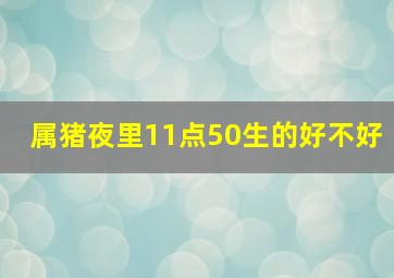 属猪夜里11点50生的好不好