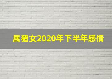 属猪女2020年下半年感情