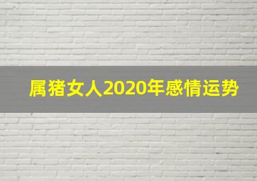 属猪女人2020年感情运势