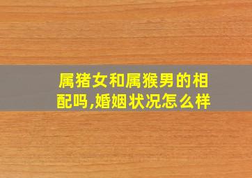 属猪女和属猴男的相配吗,婚姻状况怎么样