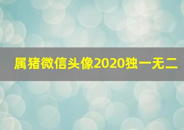 属猪微信头像2020独一无二