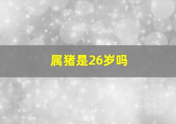 属猪是26岁吗