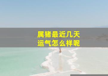 属猪最近几天运气怎么样呢