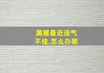 属猪最近运气不佳,怎么办呢