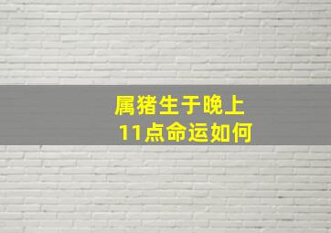 属猪生于晚上11点命运如何