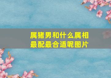 属猪男和什么属相最配最合适呢图片