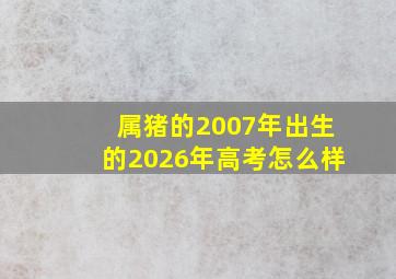 属猪的2007年出生的2026年高考怎么样