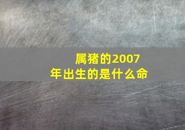 属猪的2007年出生的是什么命