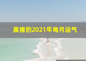 属猪的2021年每月运气