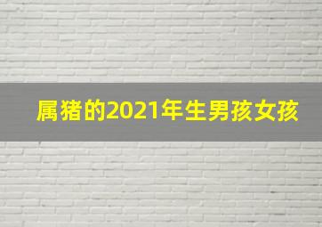 属猪的2021年生男孩女孩