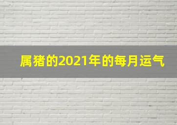 属猪的2021年的每月运气