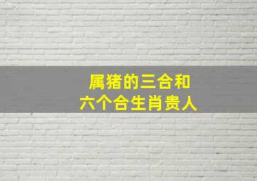 属猪的三合和六个合生肖贵人