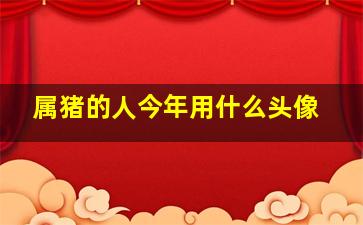 属猪的人今年用什么头像