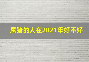 属猪的人在2021年好不好