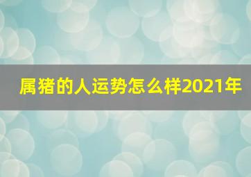 属猪的人运势怎么样2021年