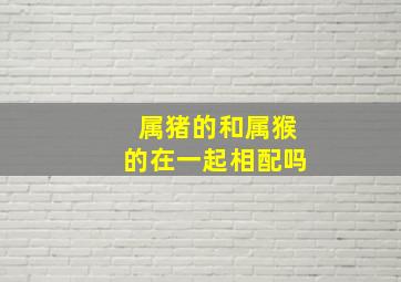 属猪的和属猴的在一起相配吗